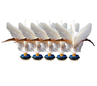 5 Pack Feather Kick Shuttlecock Chinese Jianzi Professional Kicking Foot Sports for Indoor Outdoor Game